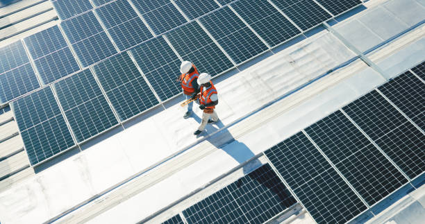 Best Skylight Installation and Repair  in Buffalo, SC
