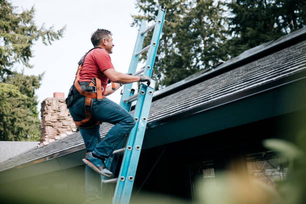 Best Green or Eco-Friendly Roofing Solutions  in Buffalo, SC